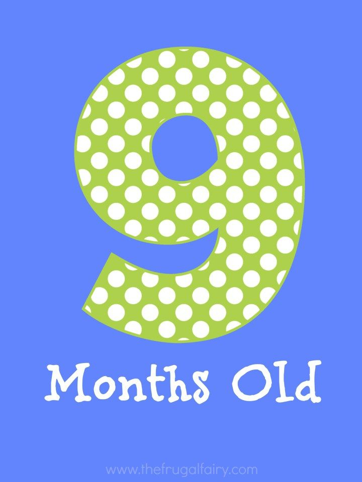 9 Month Baby Sign Baby Signs Congratulations Baby Baby Month By Month