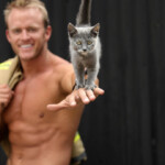 Australian Firefighters Pose With Cats For 2019 Charity Calendar And