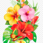 Bouquet Of Flowers Drawing Png Download 785 1192 Free Transparent