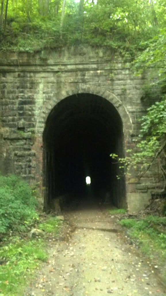 Bridgehunter North Bend Rail Trail Brandy Gap Tunnel