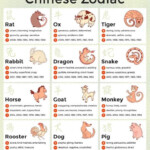 Chinese Zodiac Calendar Facts History And More Jothishi