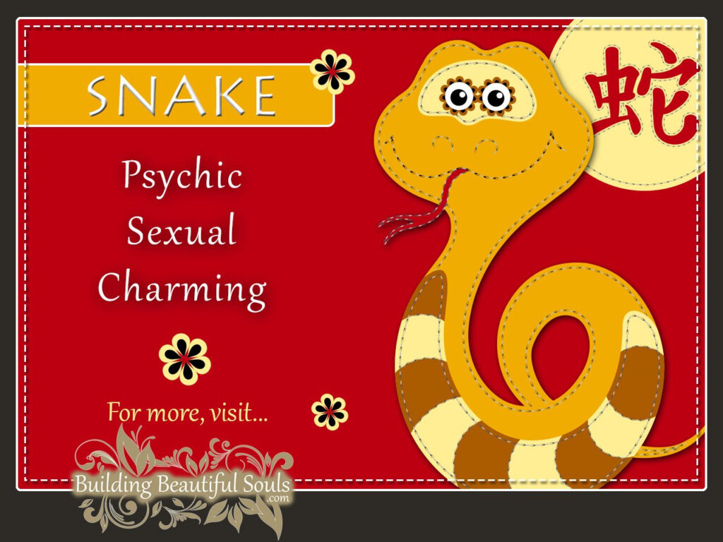 Chinese Zodiac Snake Year Of The Snake Funny Horoscopes Funny 