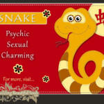 Chinese Zodiac Snake Year Of The Snake Funny Horoscopes Funny