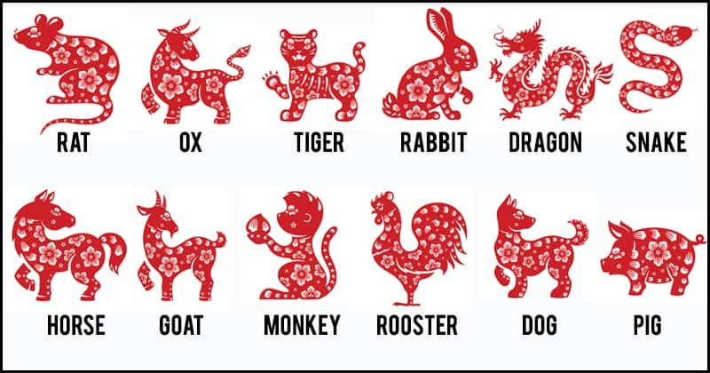 The Chinese Zodiac The Significance Of Each Chinese Year Mythologian