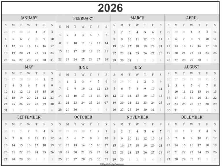 2024 Calendar Year Printable