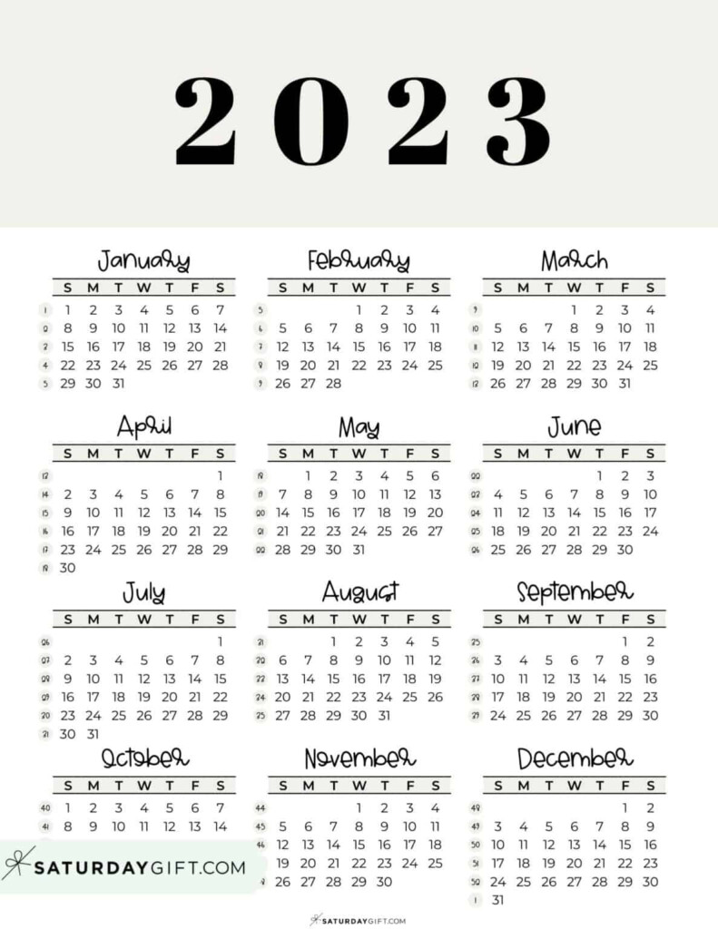 Leap Year List When Is The Next Leap Year 