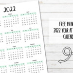 Year At A Glance Printable Calendar 2022 Blank Calendar